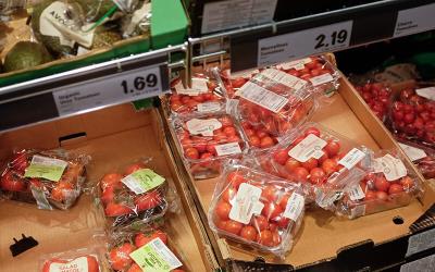 طرح توجیهی احداث واحد فرآوری و بسته ‏بندی سبزیجات و میوه خشک